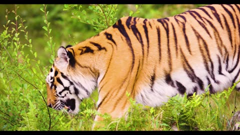 🥰🥰🥰 awww!!!