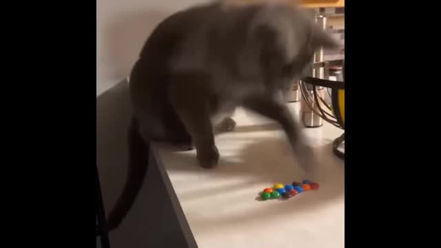 TRY NOT TO LAUGH 😆 Best Funny Videos Compilation 😂😁😆