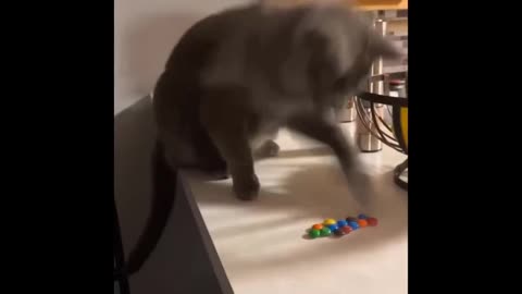 TRY NOT TO LAUGH 😆 Best Funny Videos Compilation 😂😁😆