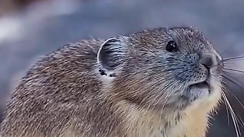 What's going on here