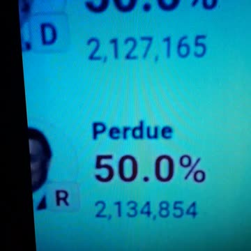 INTERNATIONAL WIDE ELECTION FRAUD VOTING MACHINE CRIME, GEORGIA RUNOFF SHAM ELECTION CRIME 115