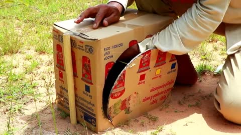 Creative Technique Easy Parrot Bird Nest Trap Make From Paper Box - That Work100%_p5