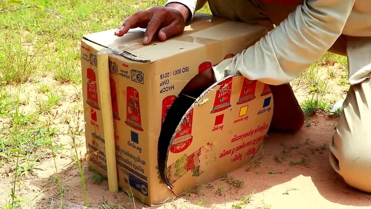 Creative Technique Easy Parrot Bird Nest Trap Make From Paper Box - That Work100%_p5
