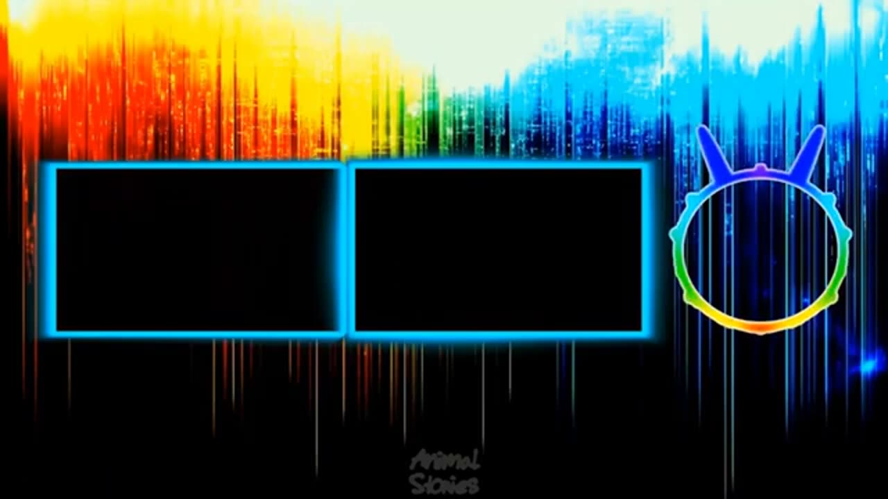 Pretty birds video