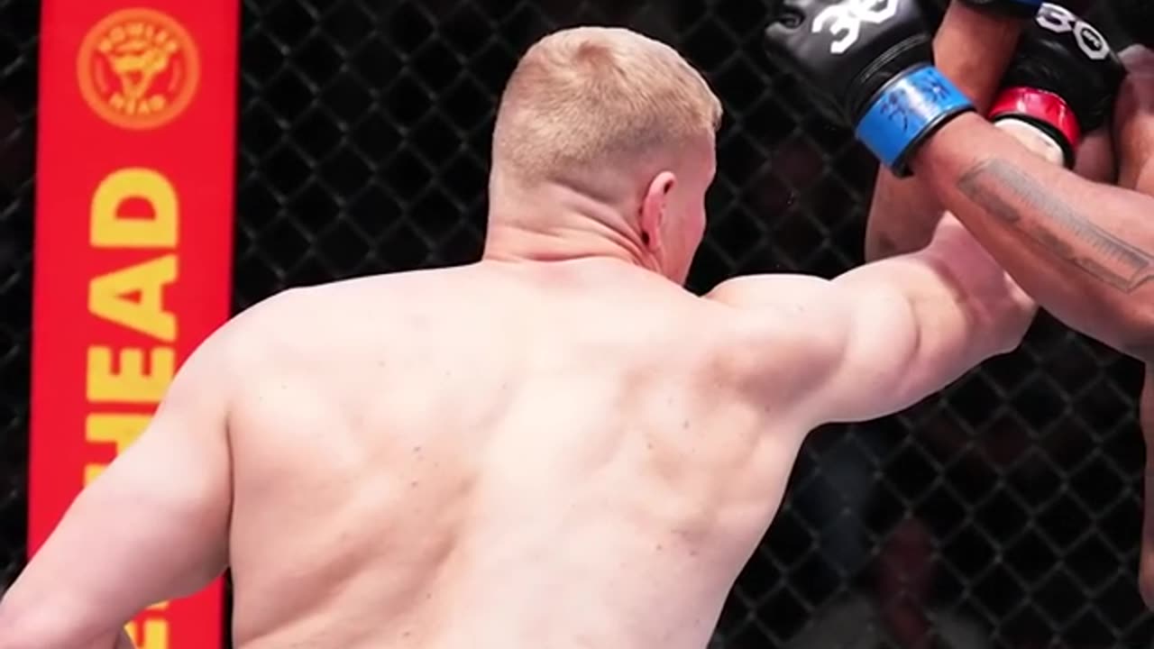 UFC fight