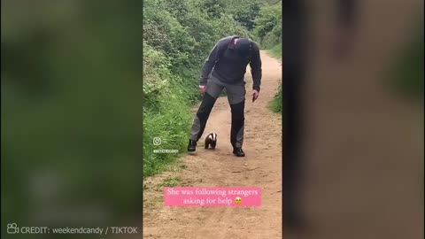Animals Asked People For Help And Kindness!