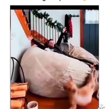 Funniest pets😁😁