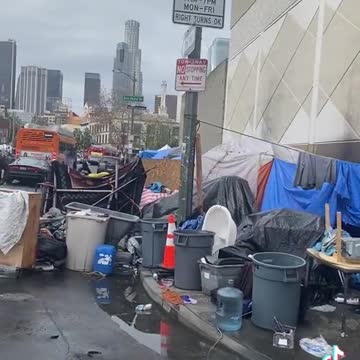 Los Angeles: 'Sanctuary cities' rapidly become like third world slums