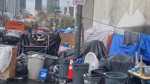 Los Angeles: 'Sanctuary cities' rapidly become like third world slums