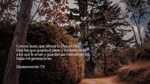 Instrumental Christian Music