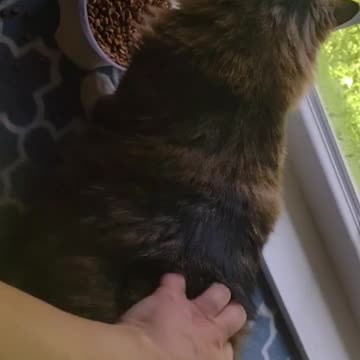 Charlotte giving me grief