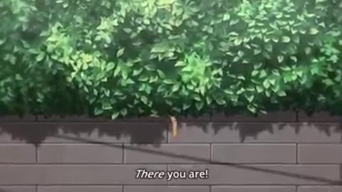 Anime meme