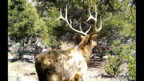 Life in the Mountains