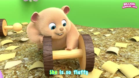 A New Home for Hamster, Pet Song - BillionSurpriseToys Nursery Rhymes, Kids Songs