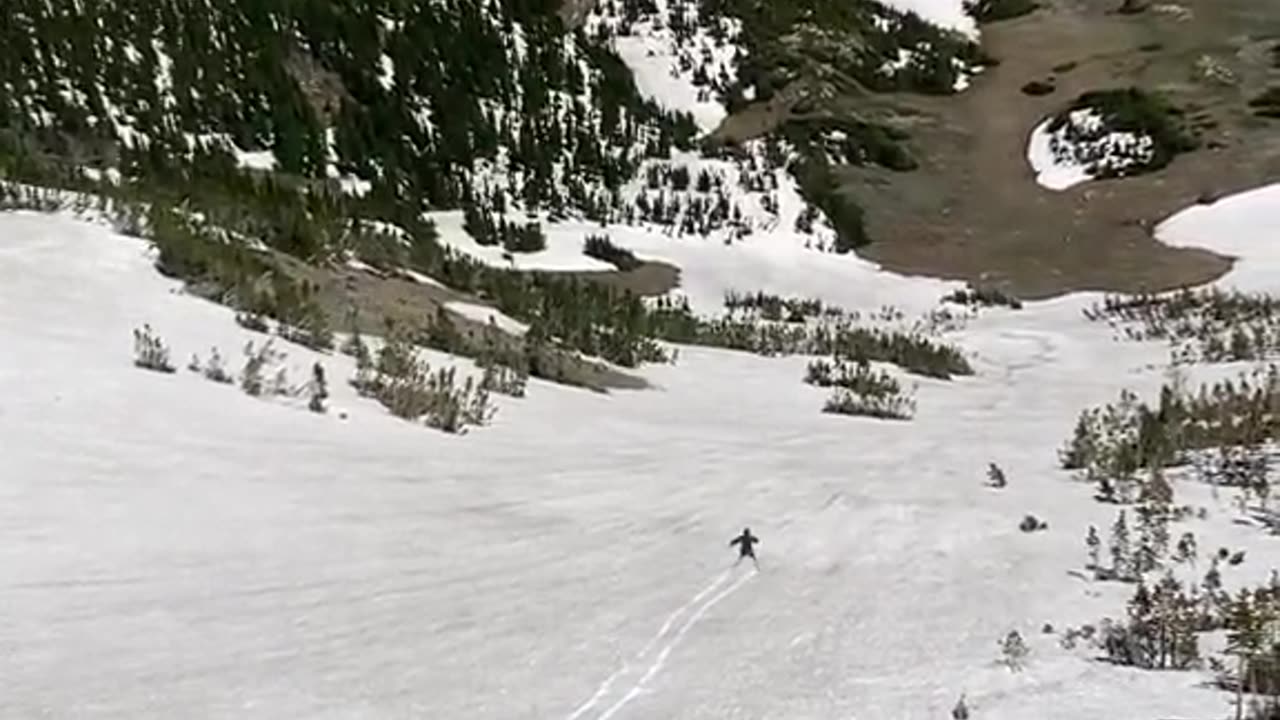 Shorts - Skiing