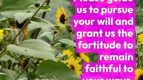 A Prayer for Today s Needs🙏😇#shorts #dailyprayer #prayer