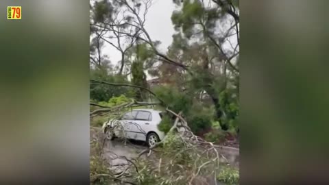 AUSTRALIA IN THE DARK - Wind Storms, rains and Terrible Lighting Strike Adelaide