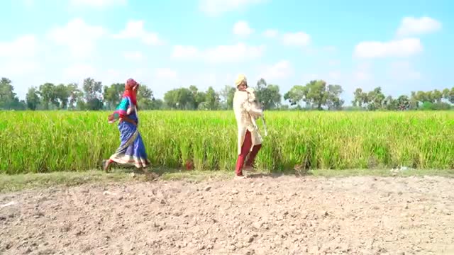 Unlimeted Amazing New Funny Video Top Comedy Video 2022 Episode 44 by Funny Family