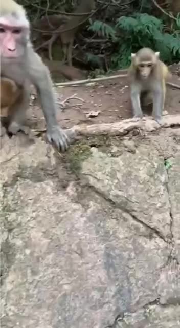 They seem to be handing out goodies