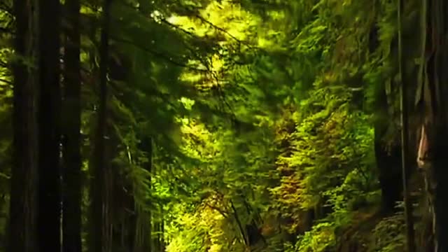 There is always a distance can go to pursue your light" the most beautiful scenery