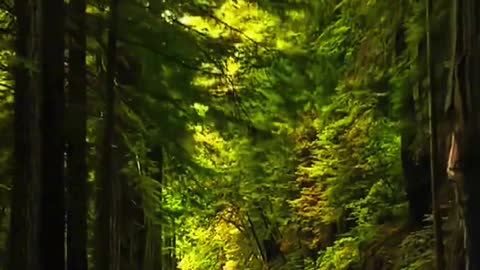 There is always a distance can go to pursue your light" the most beautiful scenery