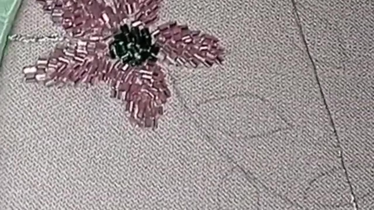 طريقة عمل وريدات معمرين بالعقيق📿🌺- طرز الرباطي بي سقلي |Hand Embroidery For Beginners 101 ✅