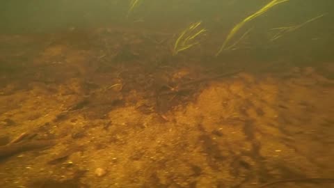 Underwater Adventure
