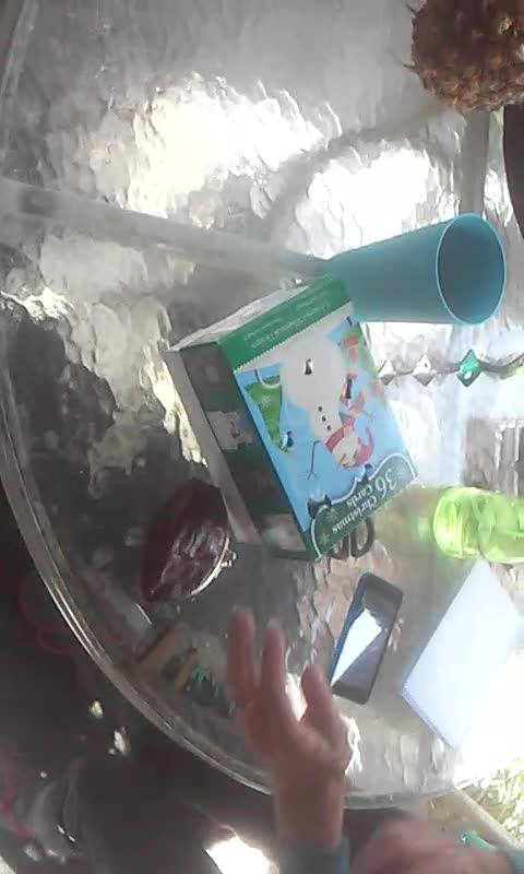 Hummingbird Rescue and Rehabiliation