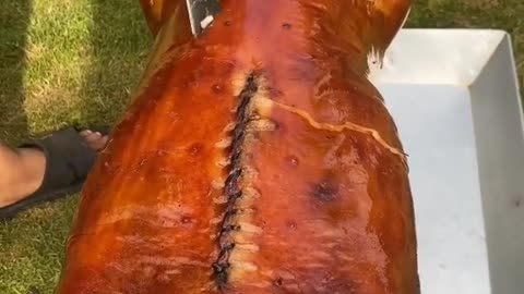 The fragrant roast Suckling pig
