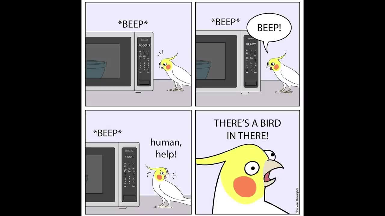 Funny Comics With A Parrot Twist