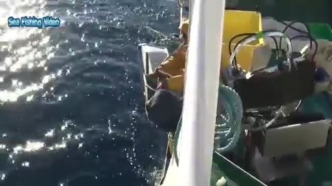Amazing automatic longline fishing net catch giant fish 🐟🐟🐟