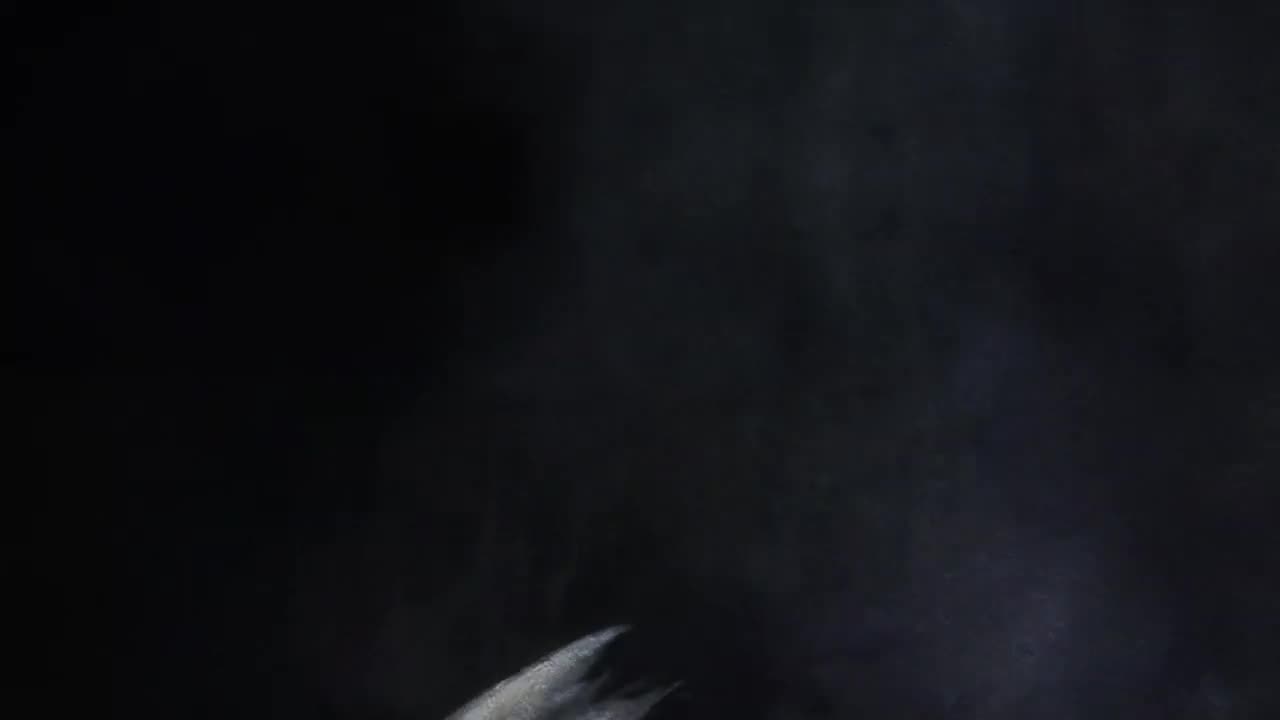 Trippie Redd – Moncler Coat (VIDEO)