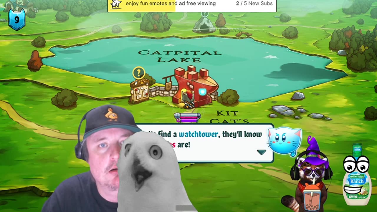 pt1 a cat quest looking to make kitty biscuits