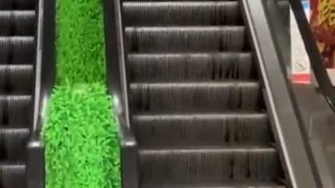 Comedy video very very funny