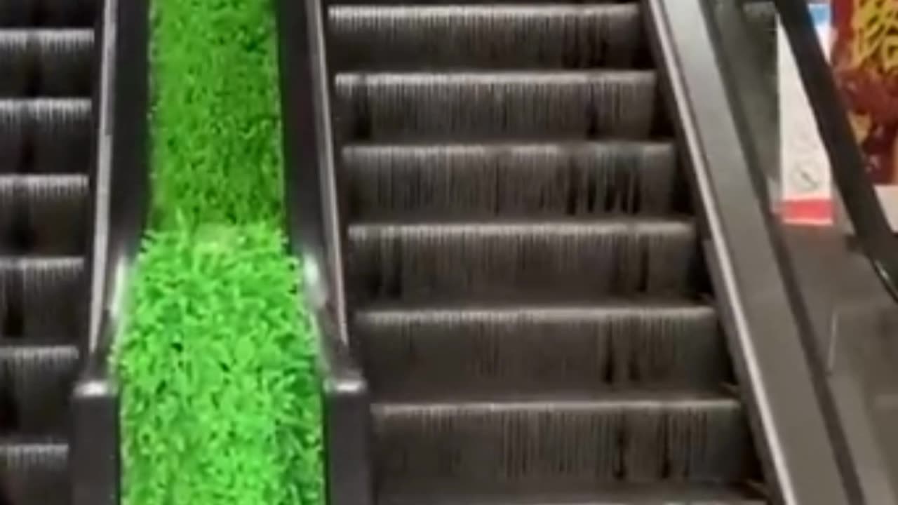 Comedy video very very funny