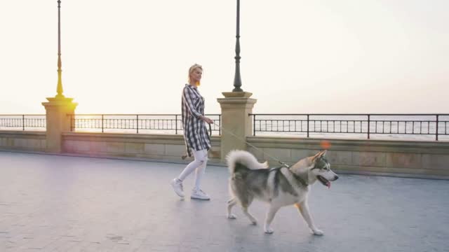 Young female walking with siberian husky dog on sea front, slow motion