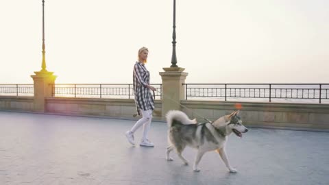 Young female walking with siberian husky dog on sea front, slow motion