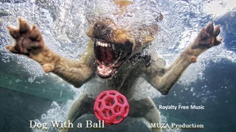Dog with a Ball