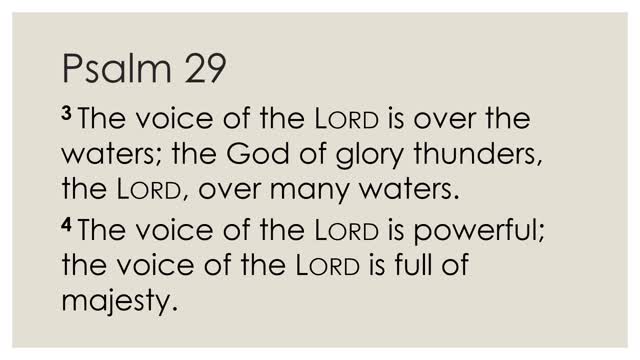 Daily Devotion Psalm 29