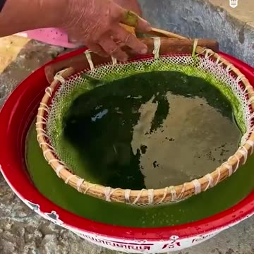 How to Cook the Algae | Complete step by a Women Trending now