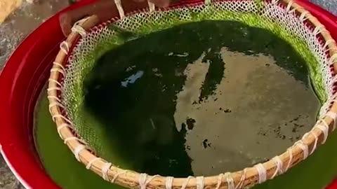 How to Cook the Algae | Complete step by a Women Trending now
