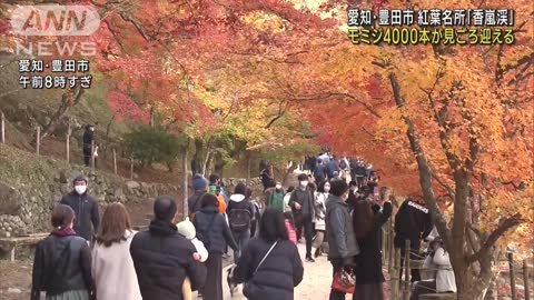 秋の行楽日和 紅葉鮮やか・陶磁器まつり・ころ柿作り(2022年11月19日)