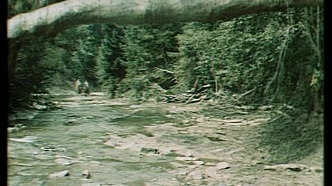 Wilcze Echa 1968 - PL RU