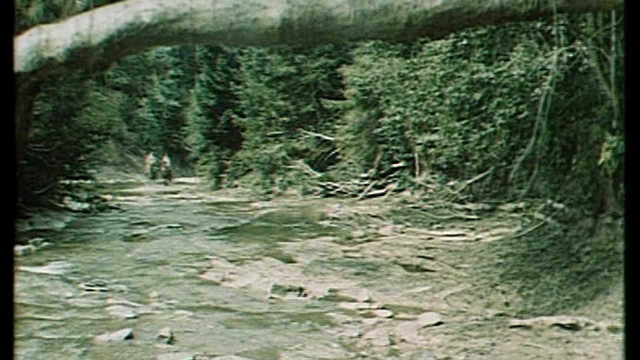 Wilcze Echa 1968 - PL RU