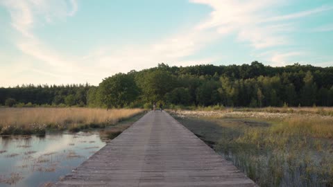 The walking bridge on the swamp