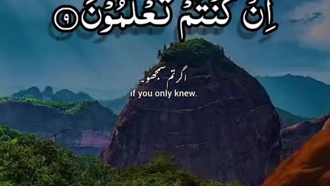 Heart Touching QURAN Recitation