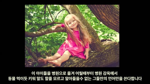 KQstory7747-킴버소식, 비밀섬의 아이들