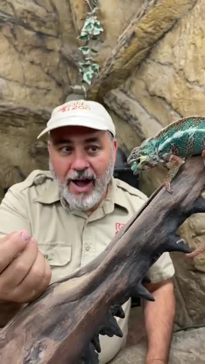 Worm for breakfast 🐛