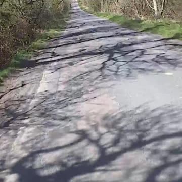 I had no time to avoid this!