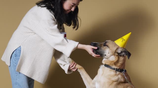 very good dog